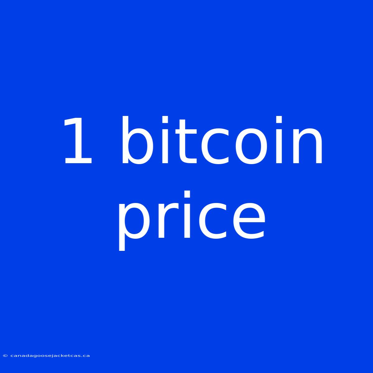 1 Bitcoin Price