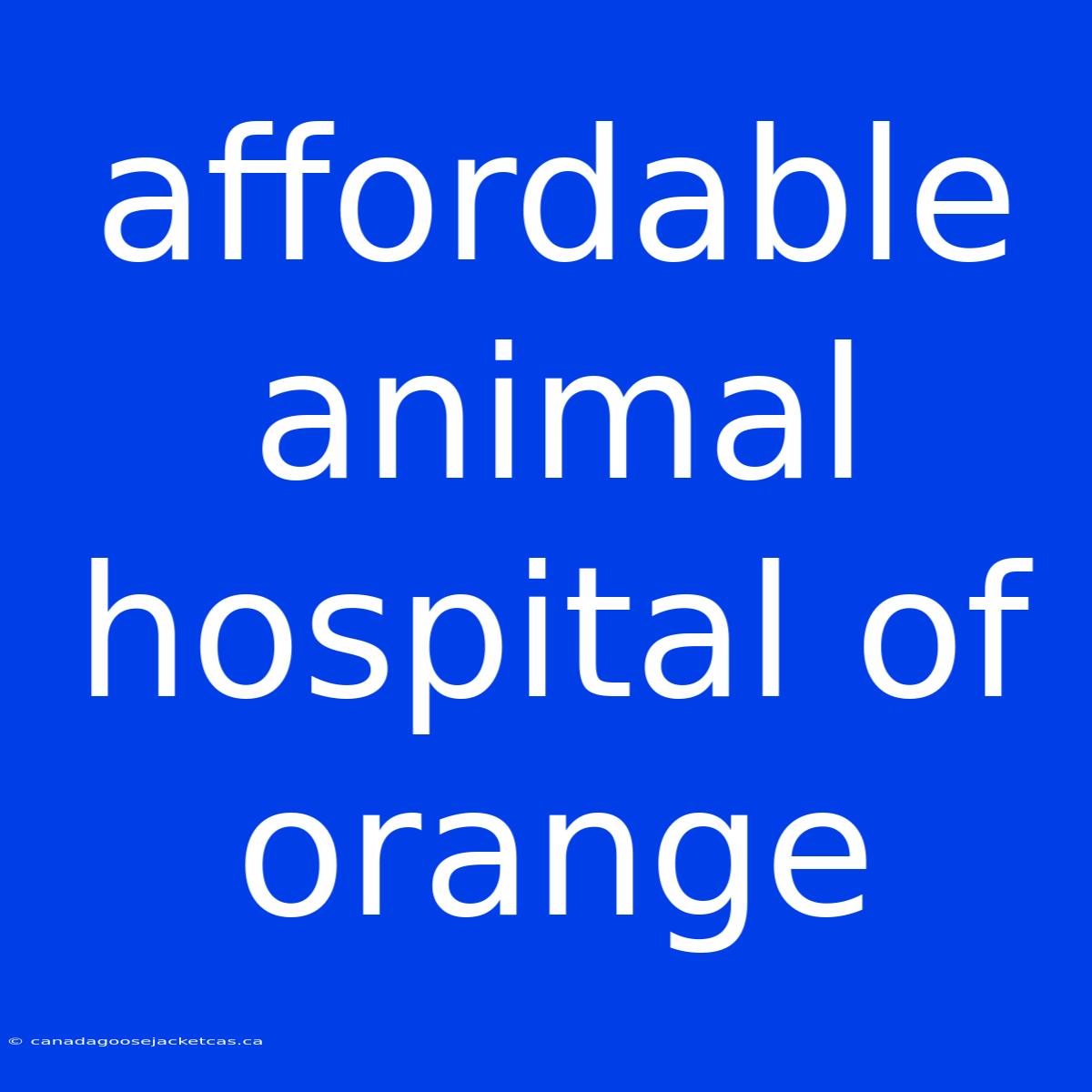 Affordable Animal Hospital Of Orange