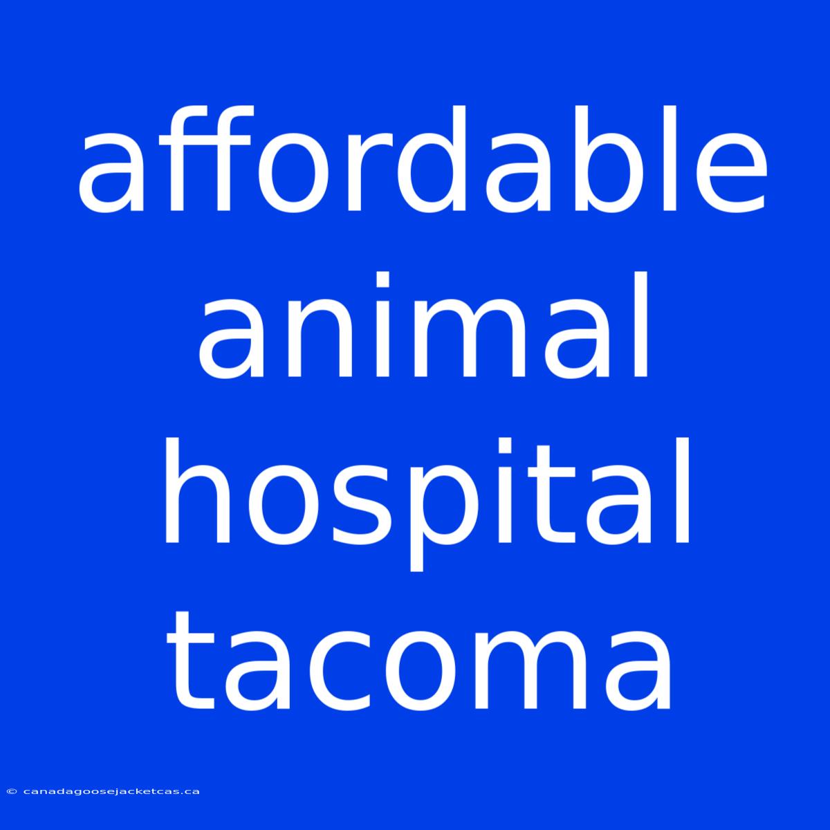 Affordable Animal Hospital Tacoma