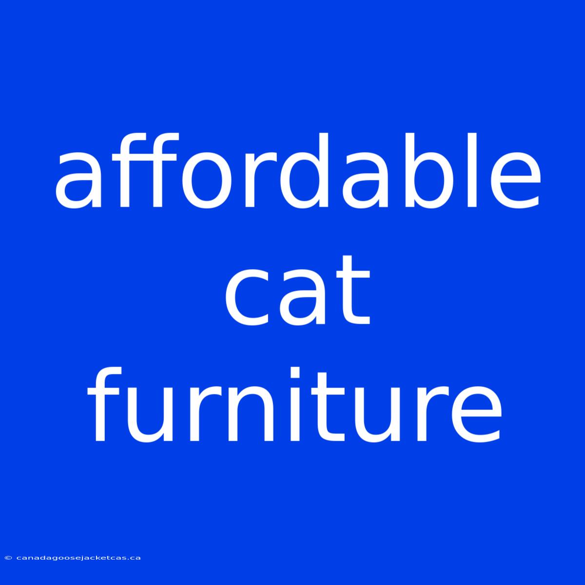 Affordable Cat Furniture