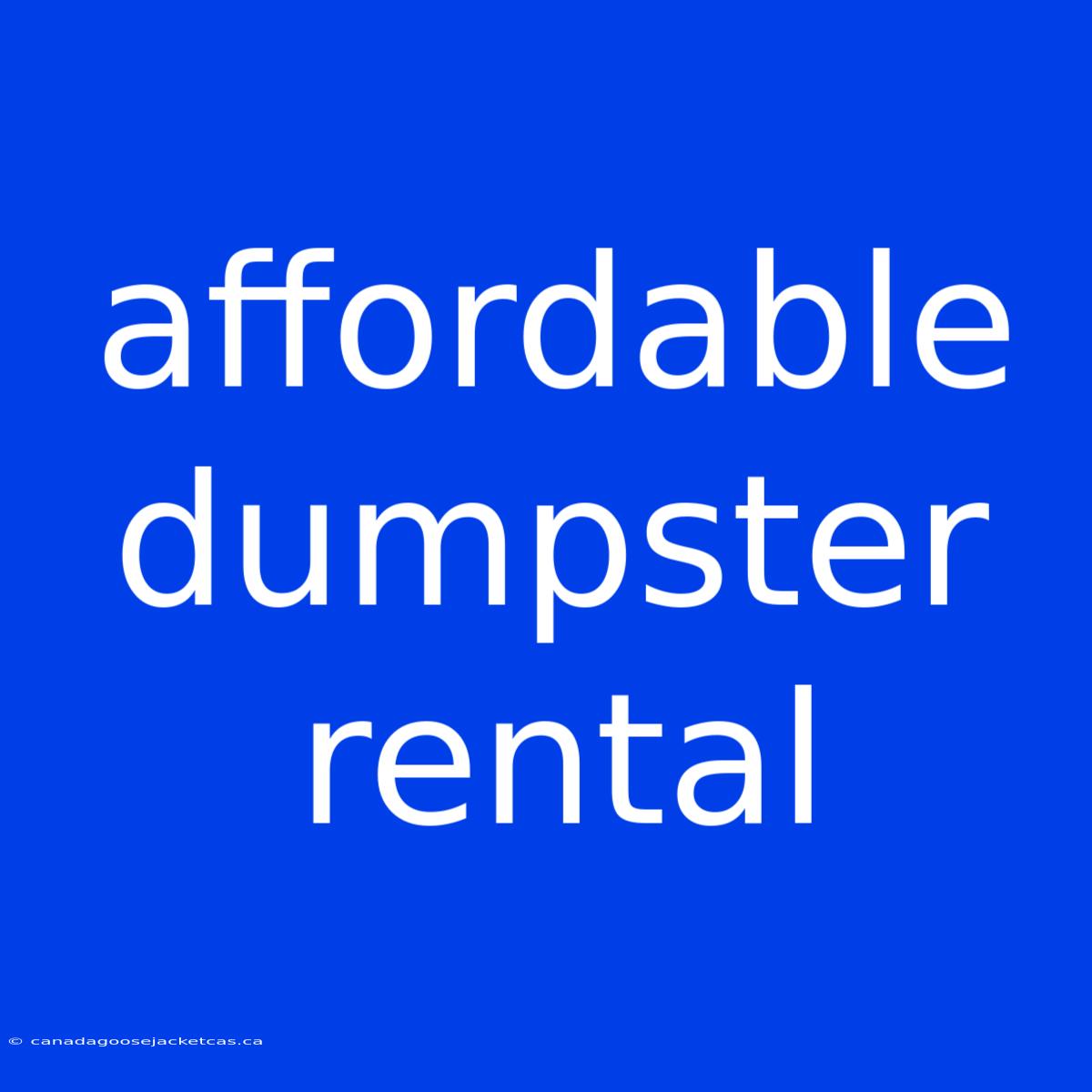 Affordable Dumpster Rental