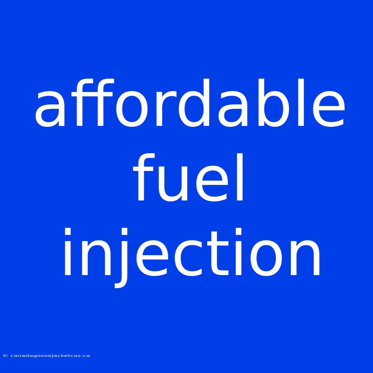 Affordable Fuel Injection