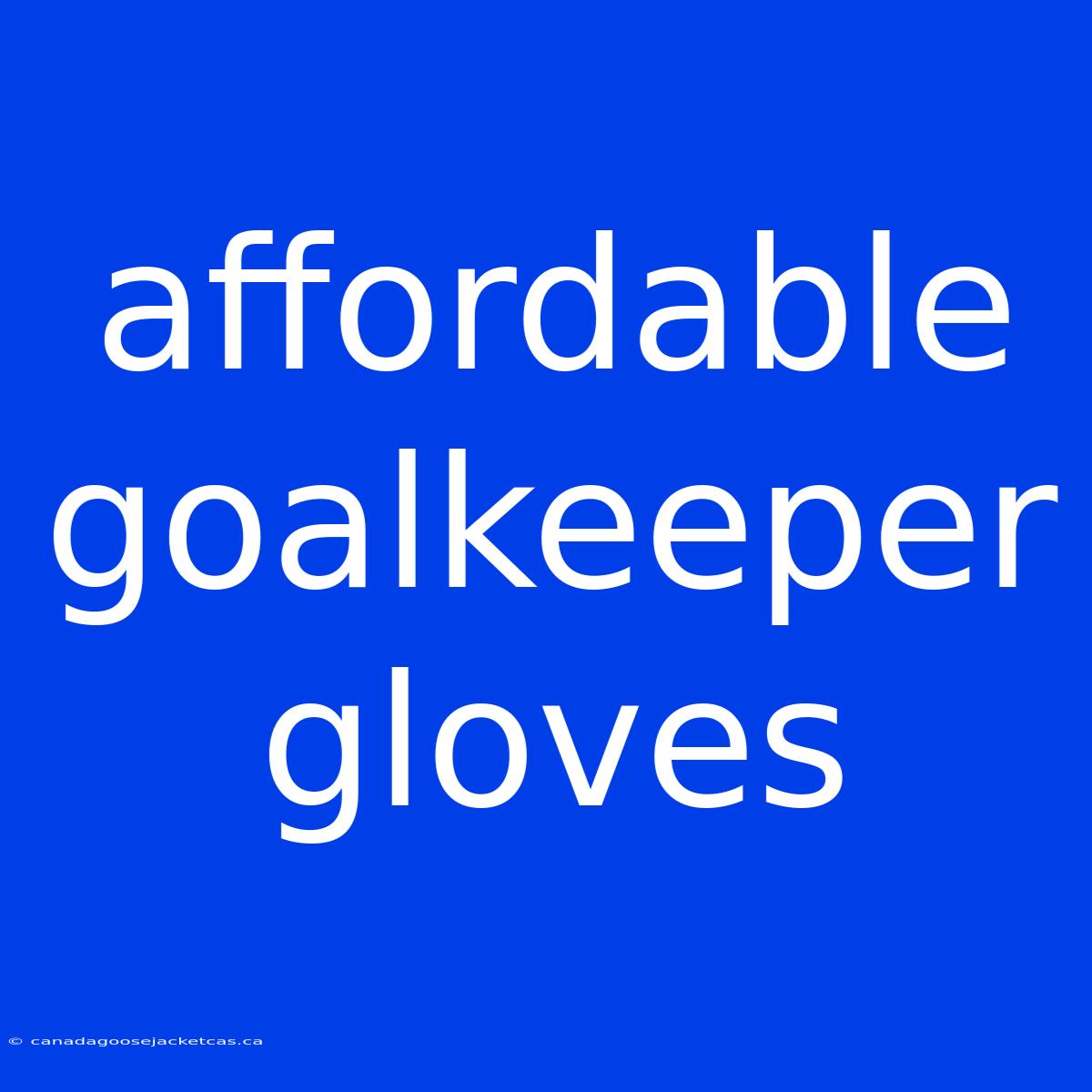 Affordable Goalkeeper Gloves