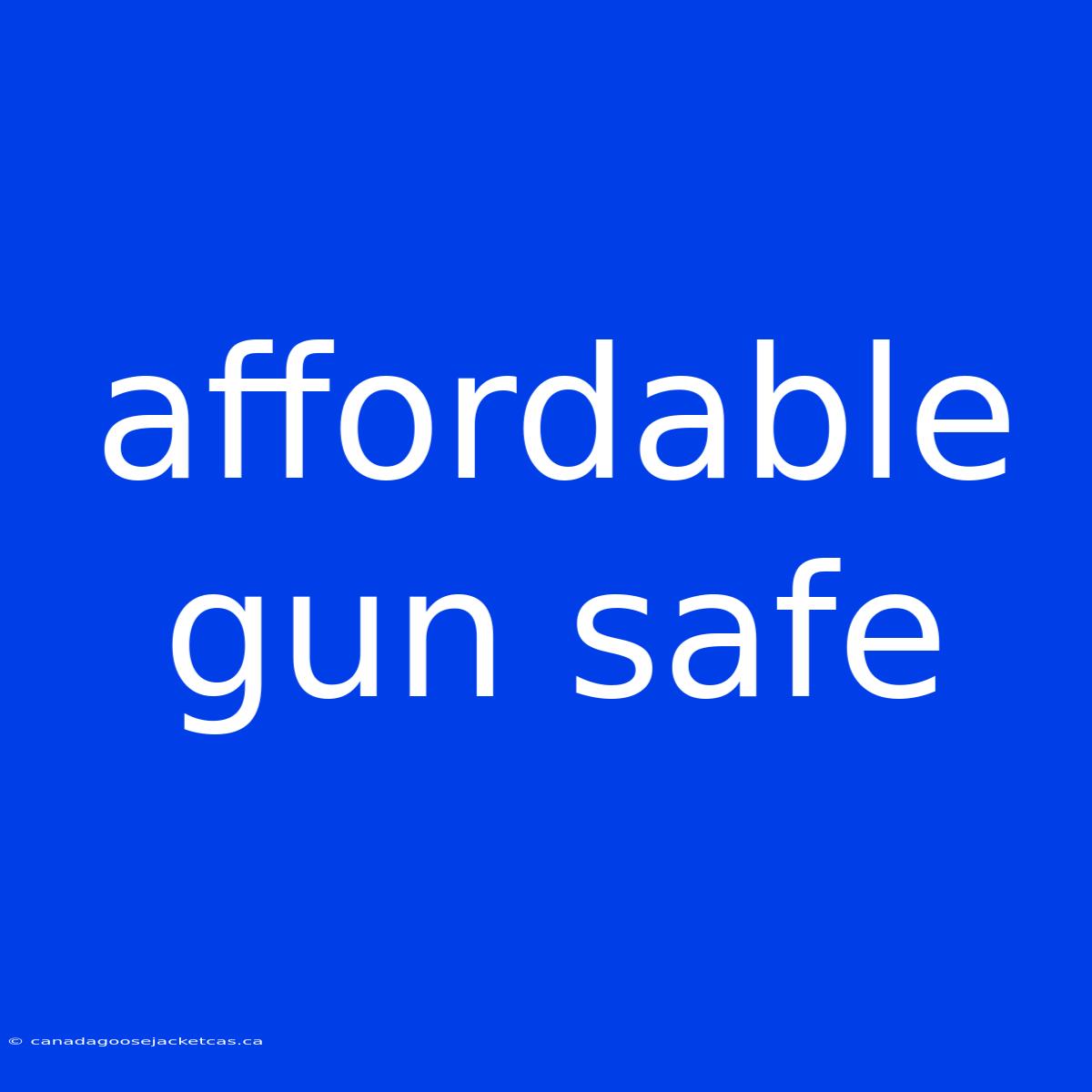 Affordable Gun Safe