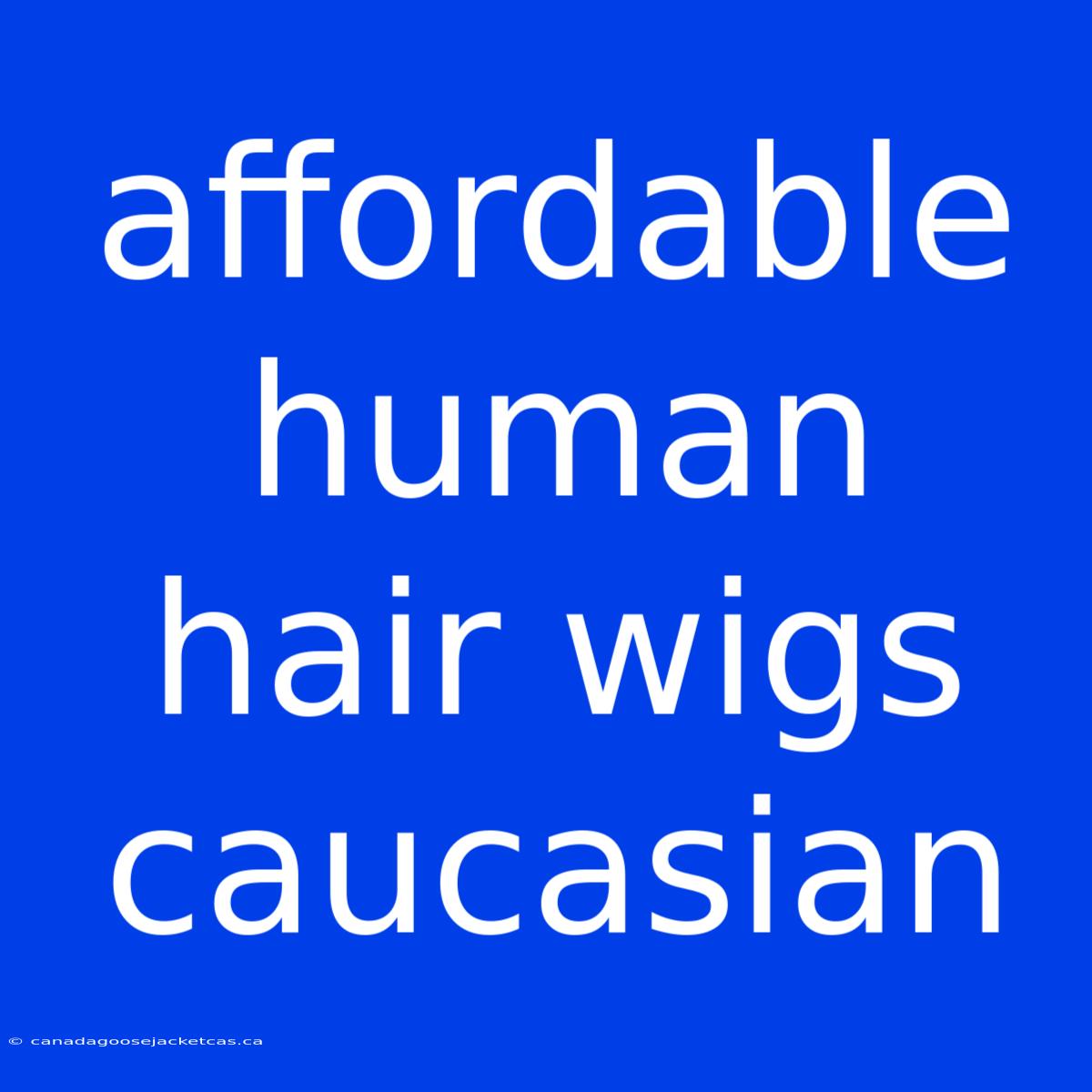 Affordable Human Hair Wigs Caucasian