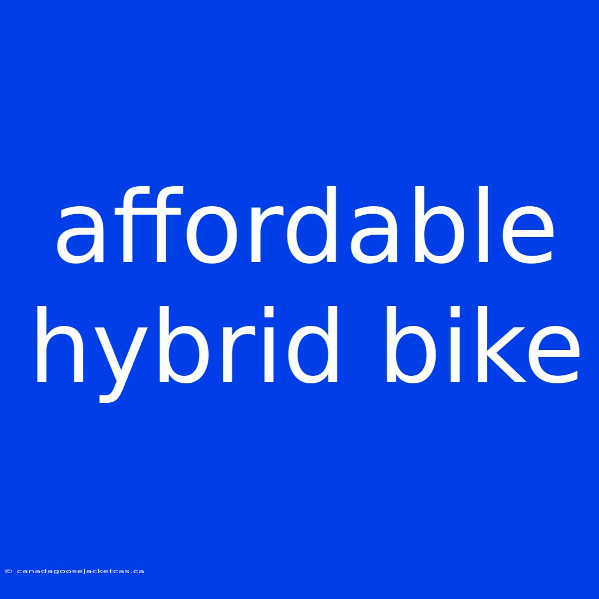 Affordable Hybrid Bike