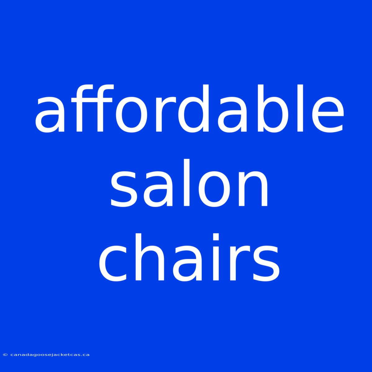 Affordable Salon Chairs