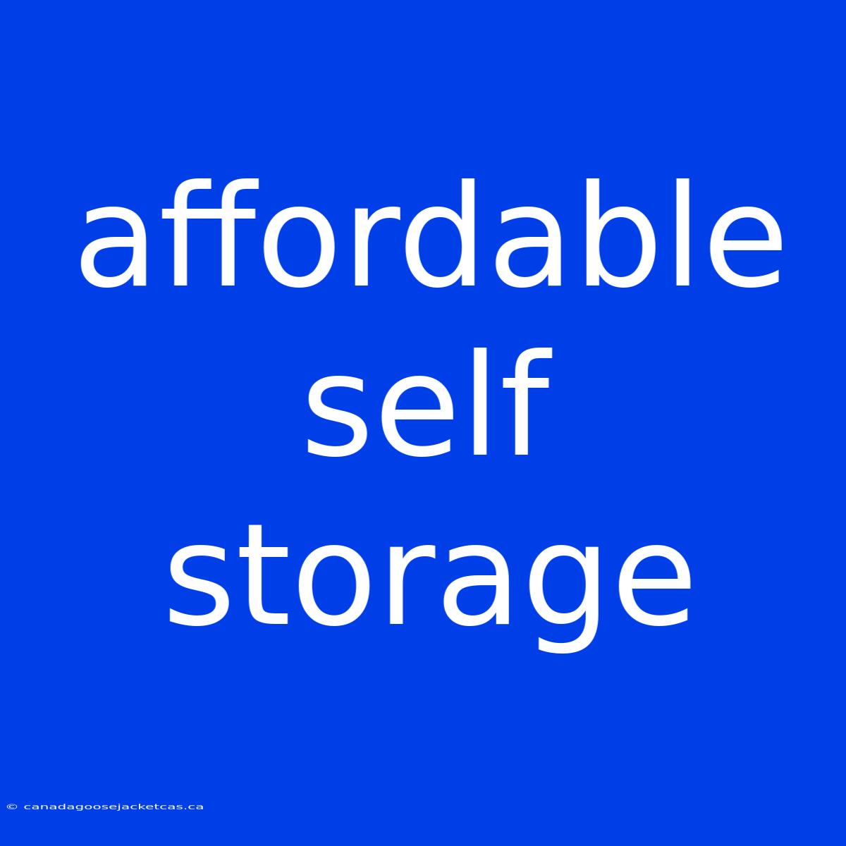 Affordable Self Storage