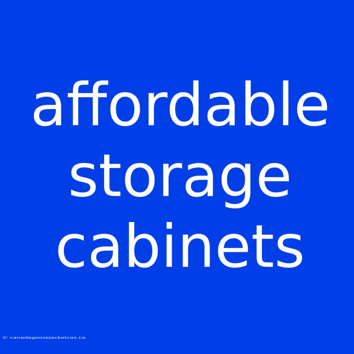 Affordable Storage Cabinets