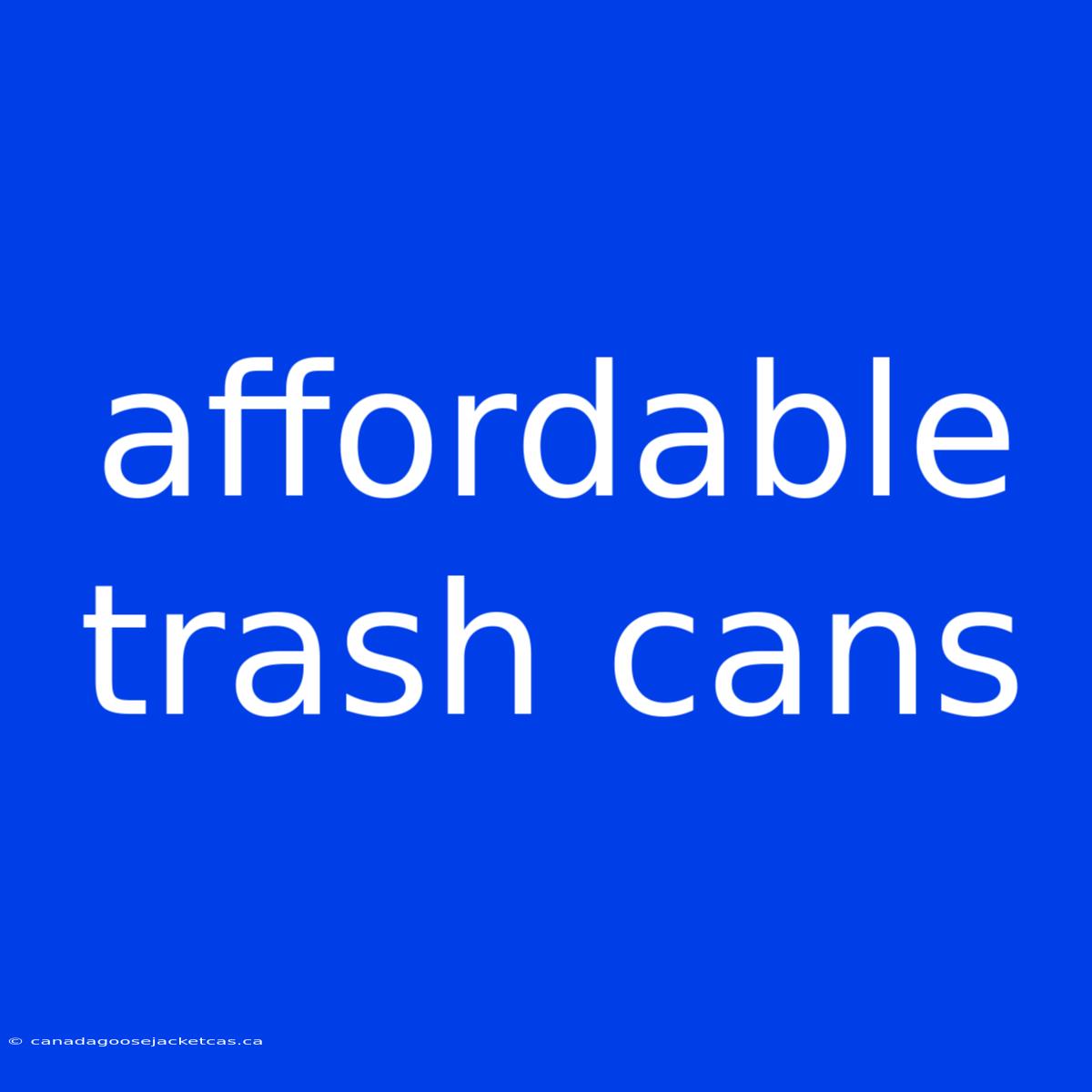 Affordable Trash Cans