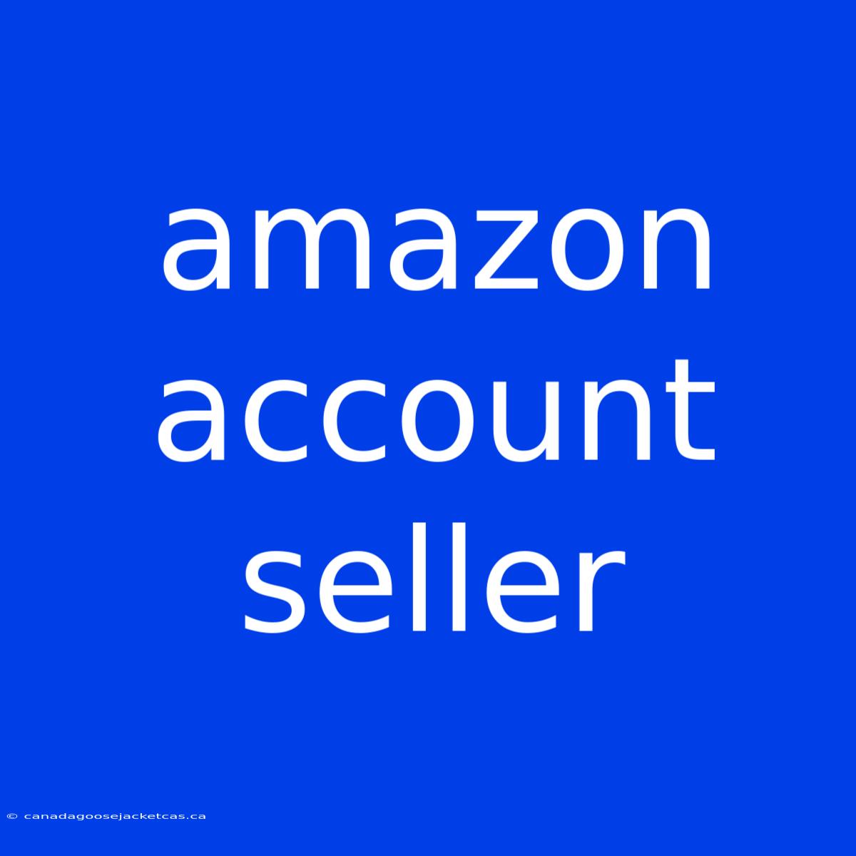 Amazon Account Seller