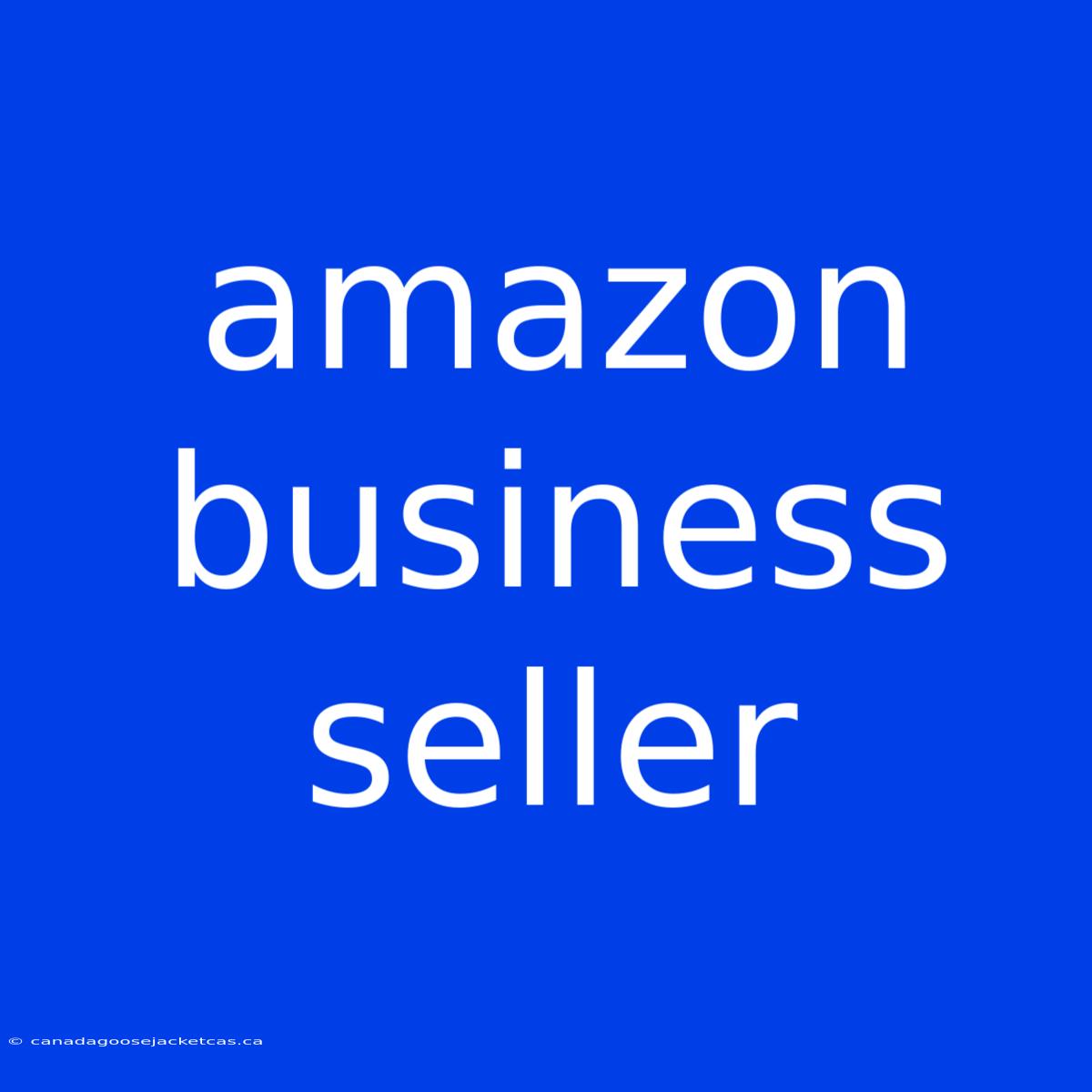 Amazon Business Seller