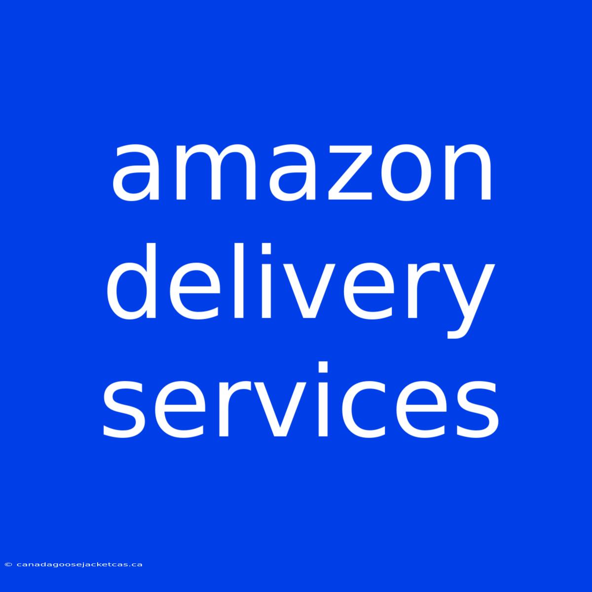 Amazon Delivery Services