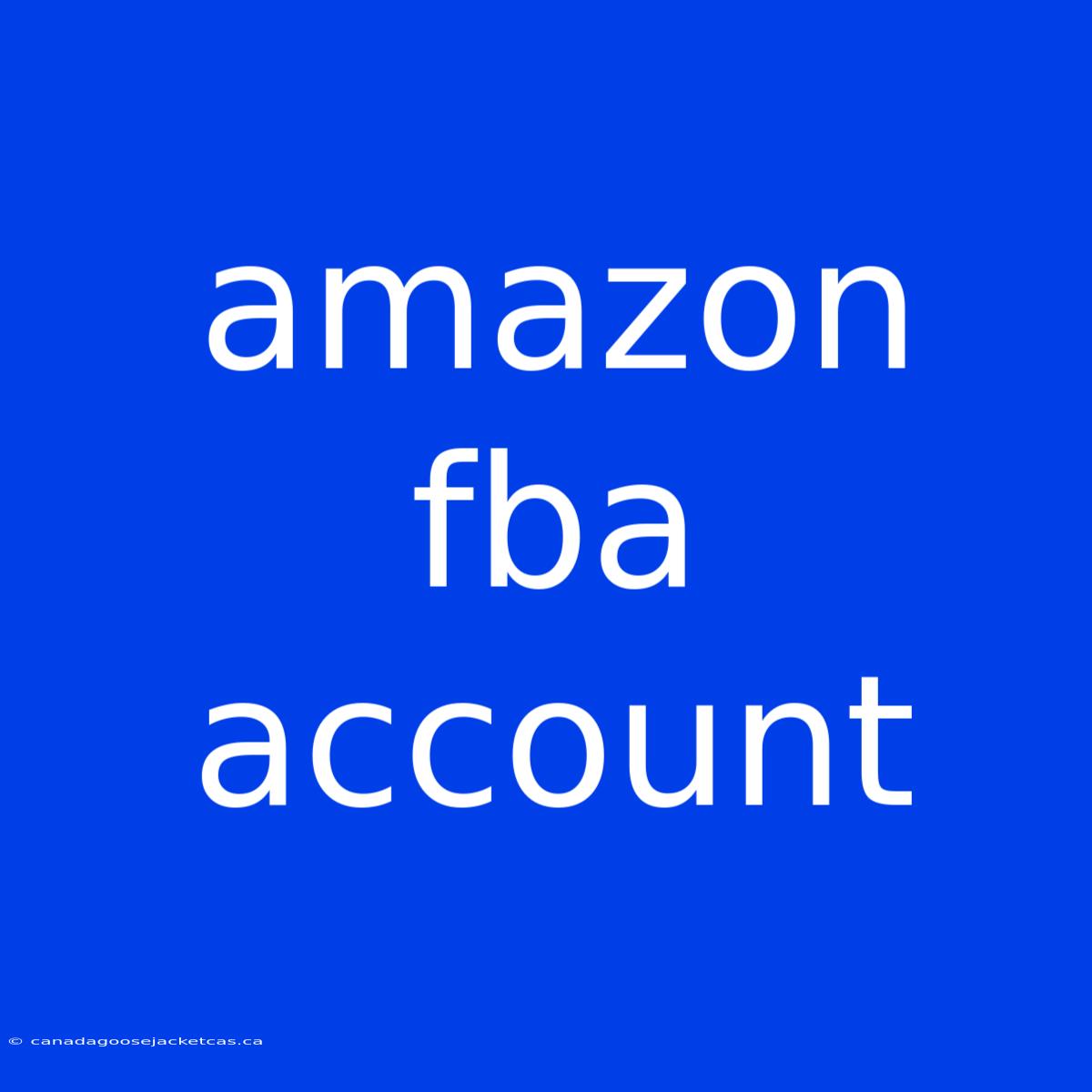 Amazon Fba Account