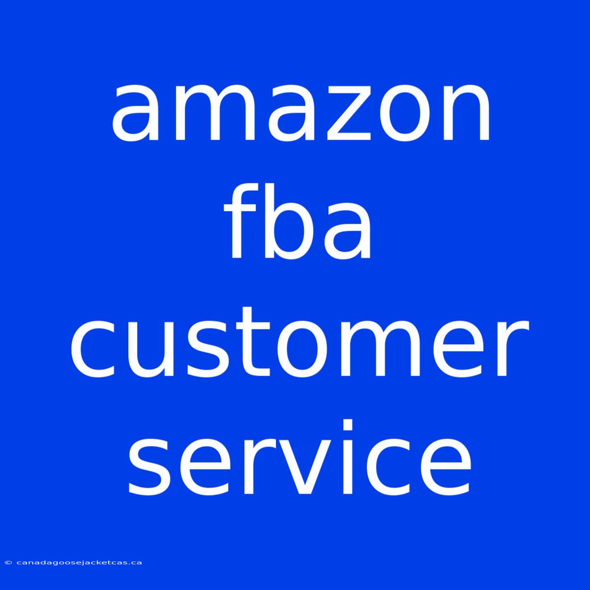 Amazon Fba Customer Service