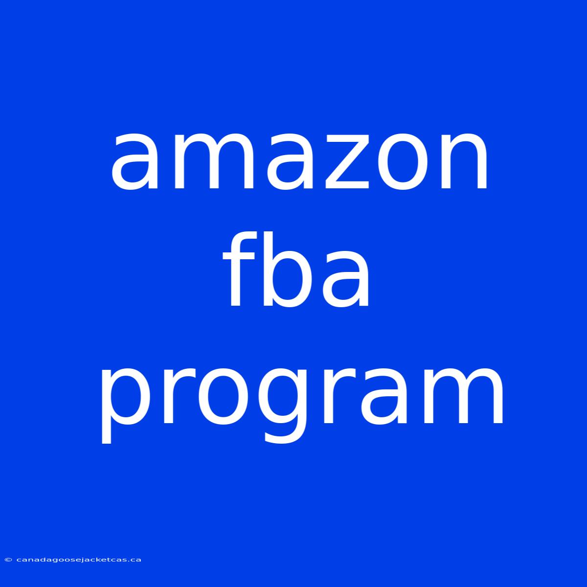 Amazon Fba Program