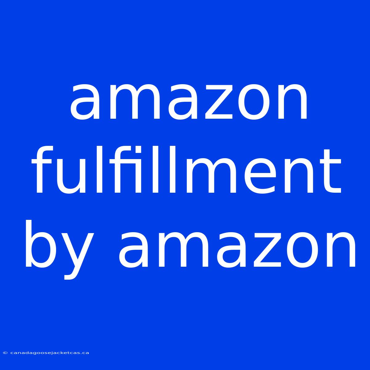 Amazon Fulfillment By Amazon