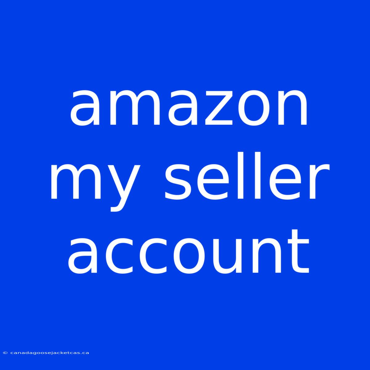 Amazon My Seller Account