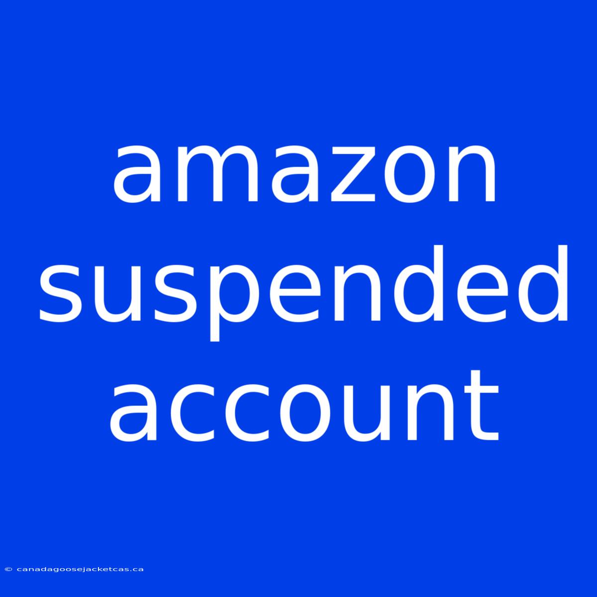 Amazon Suspended Account