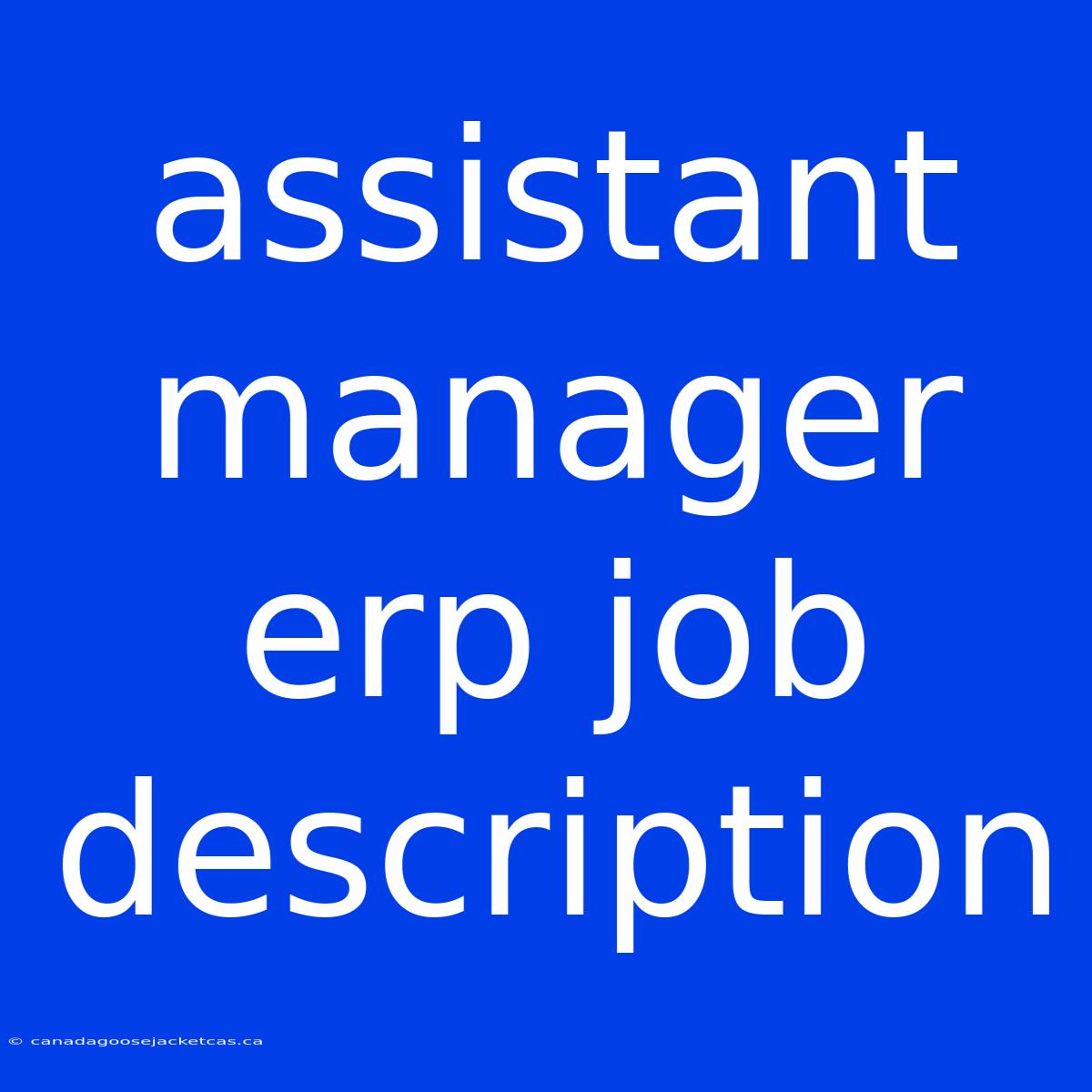 Assistant Manager Erp Job Description