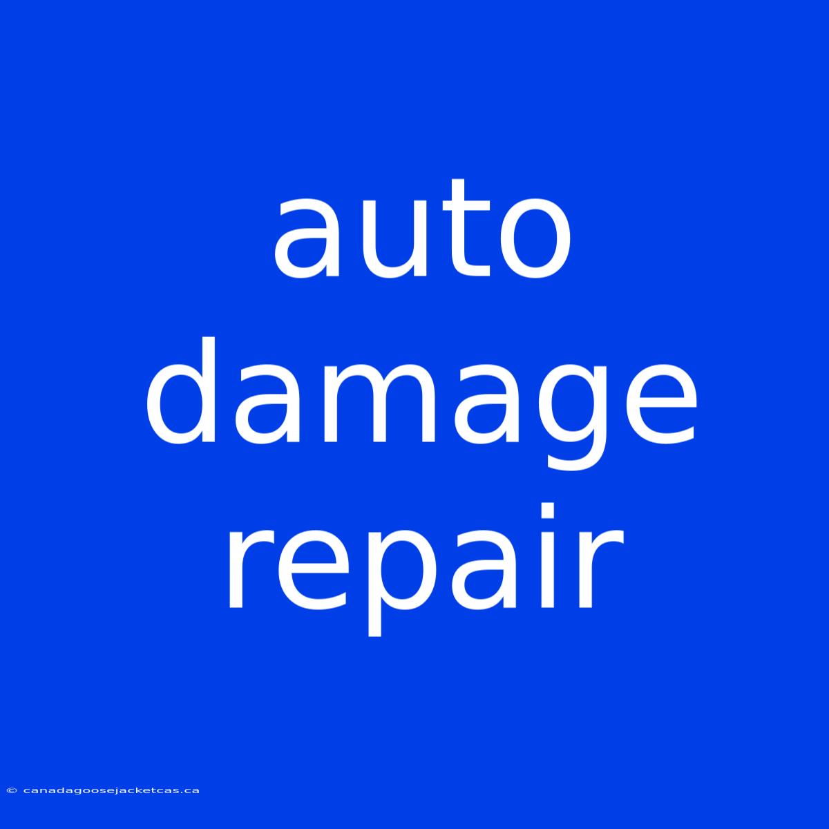 Auto Damage Repair