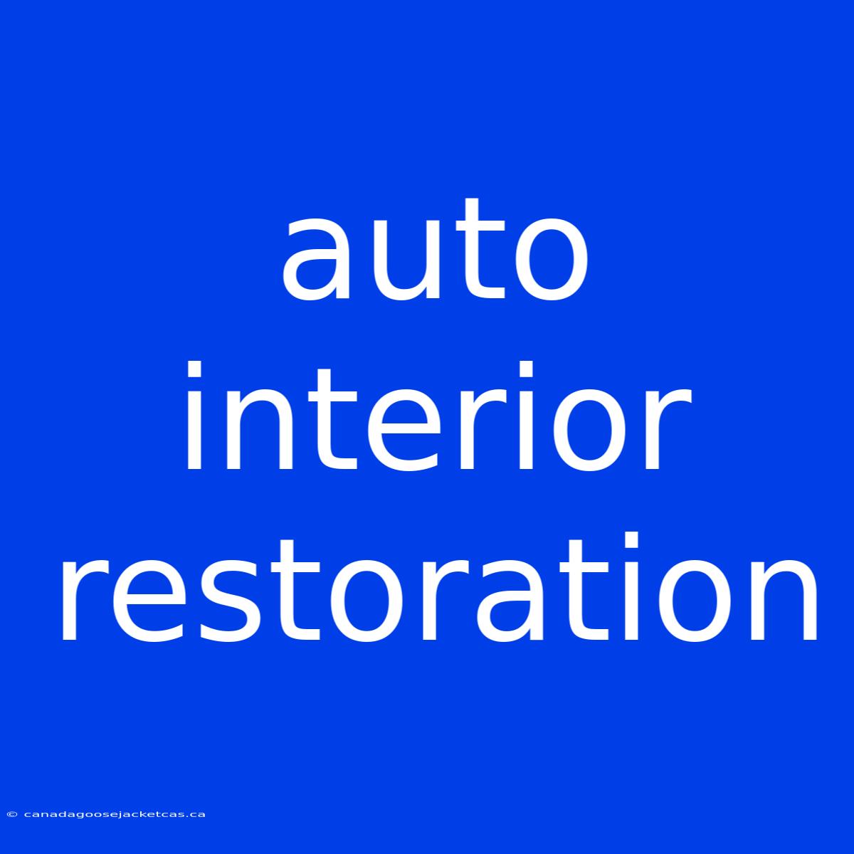 Auto Interior Restoration