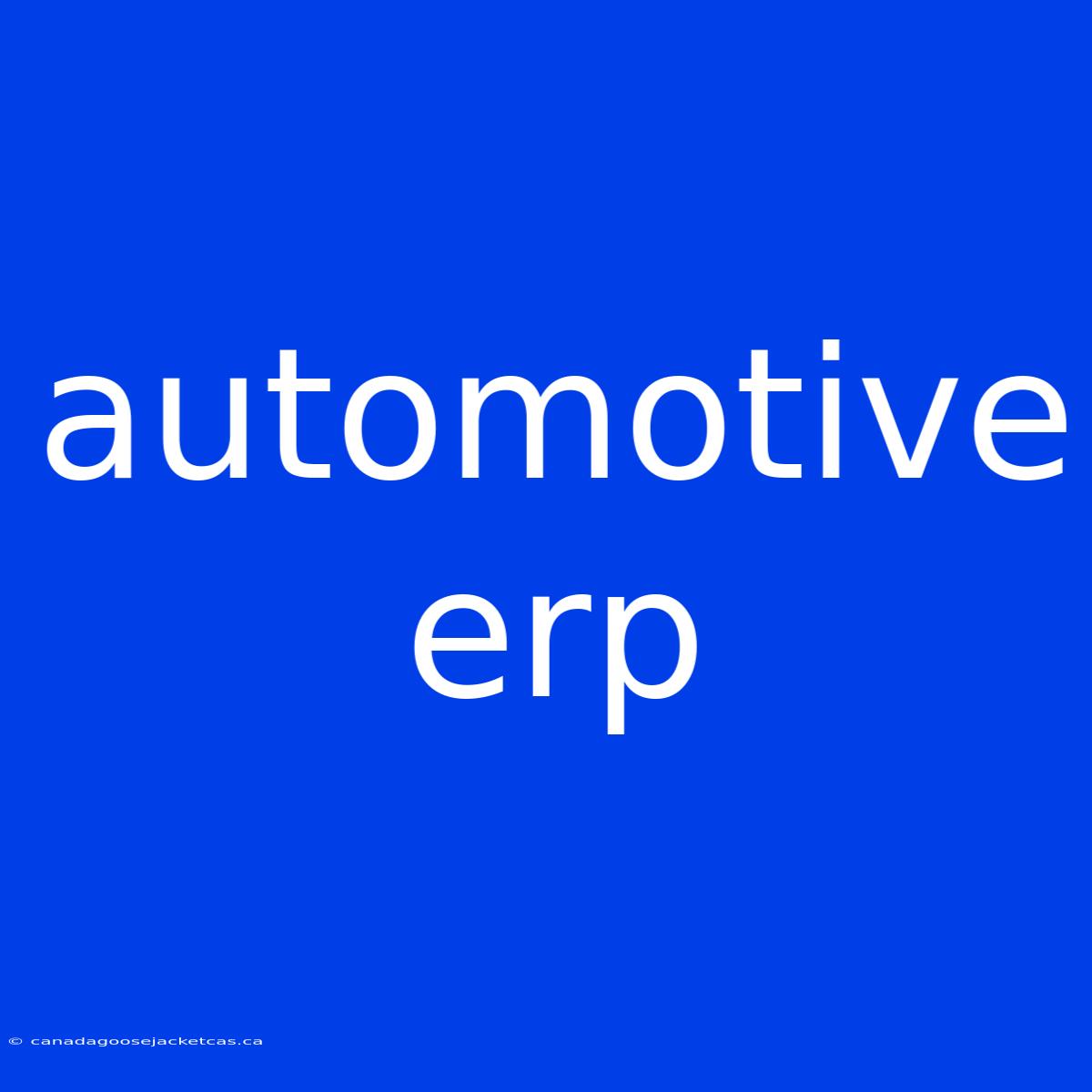 Automotive Erp