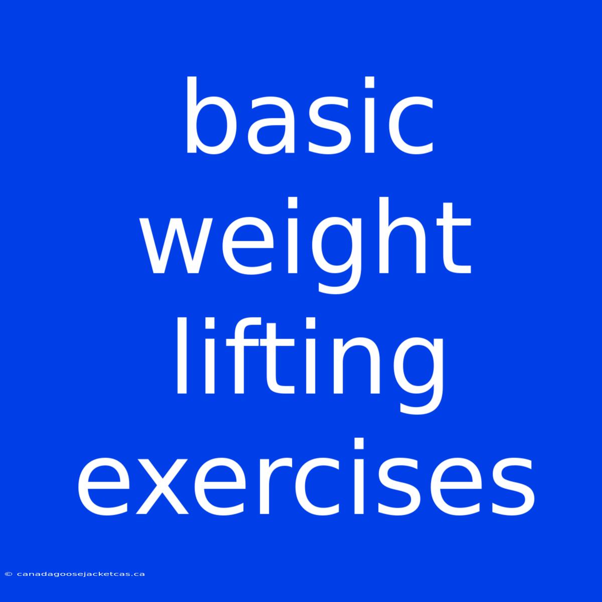 Basic Weight Lifting Exercises