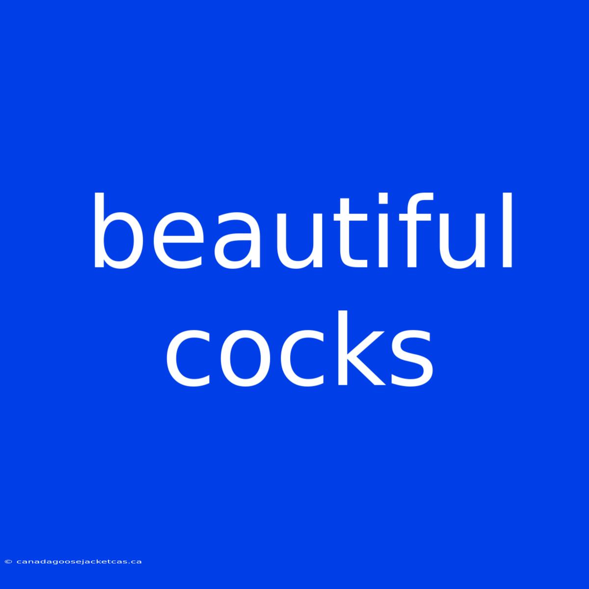 Beautiful Cocks