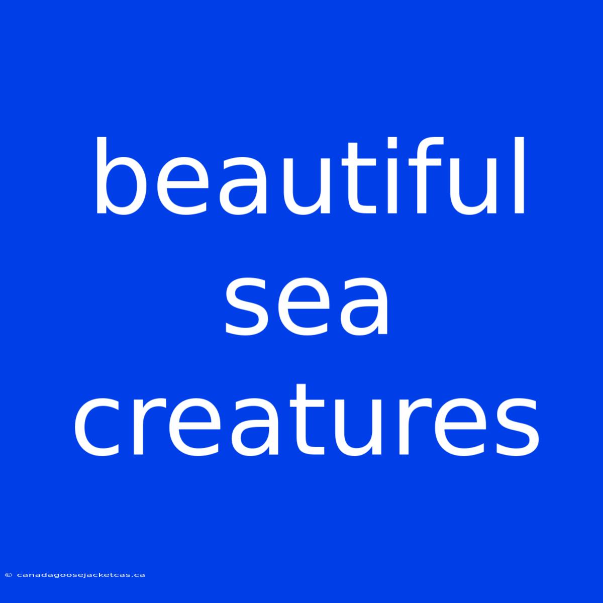 Beautiful Sea Creatures