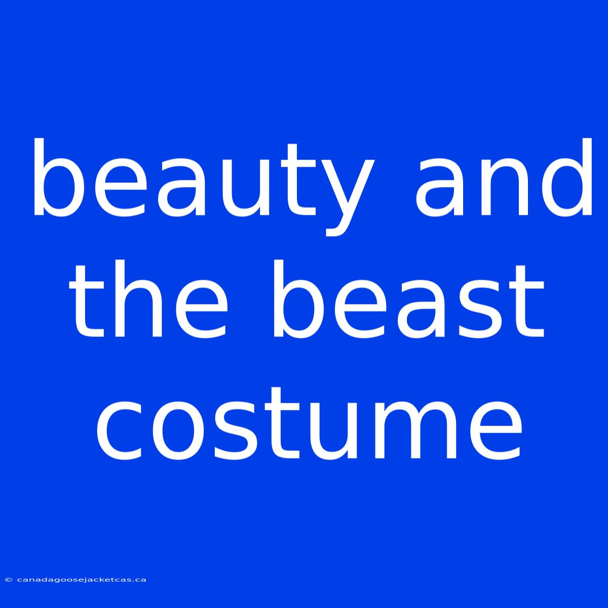 Beauty And The Beast Costume