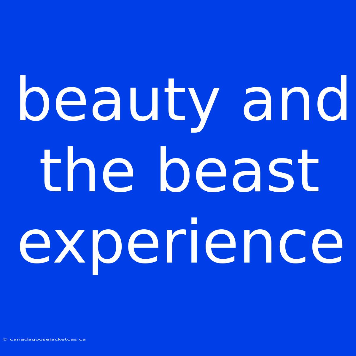 Beauty And The Beast Experience