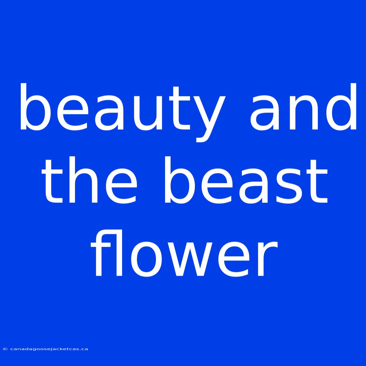 Beauty And The Beast Flower