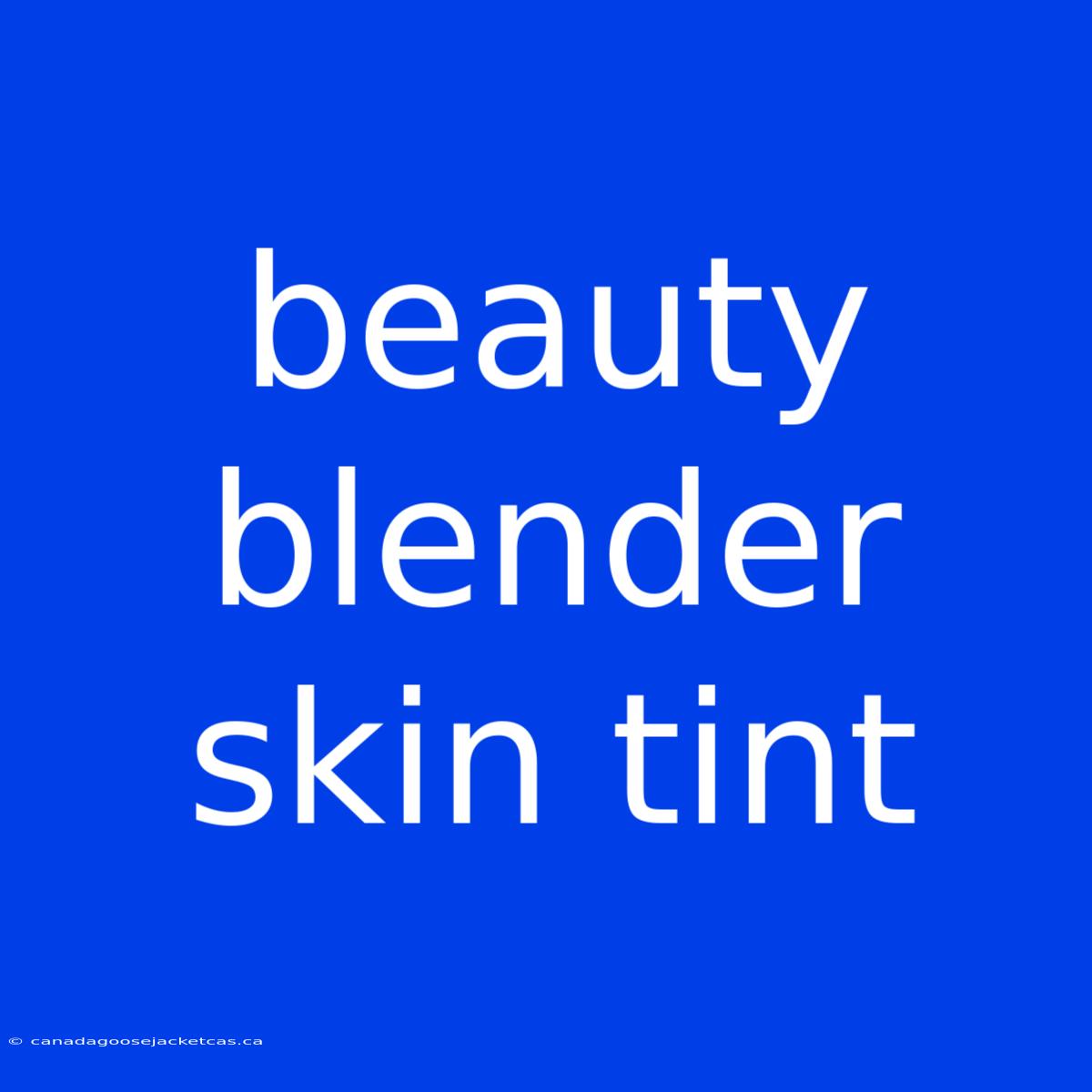 Beauty Blender Skin Tint