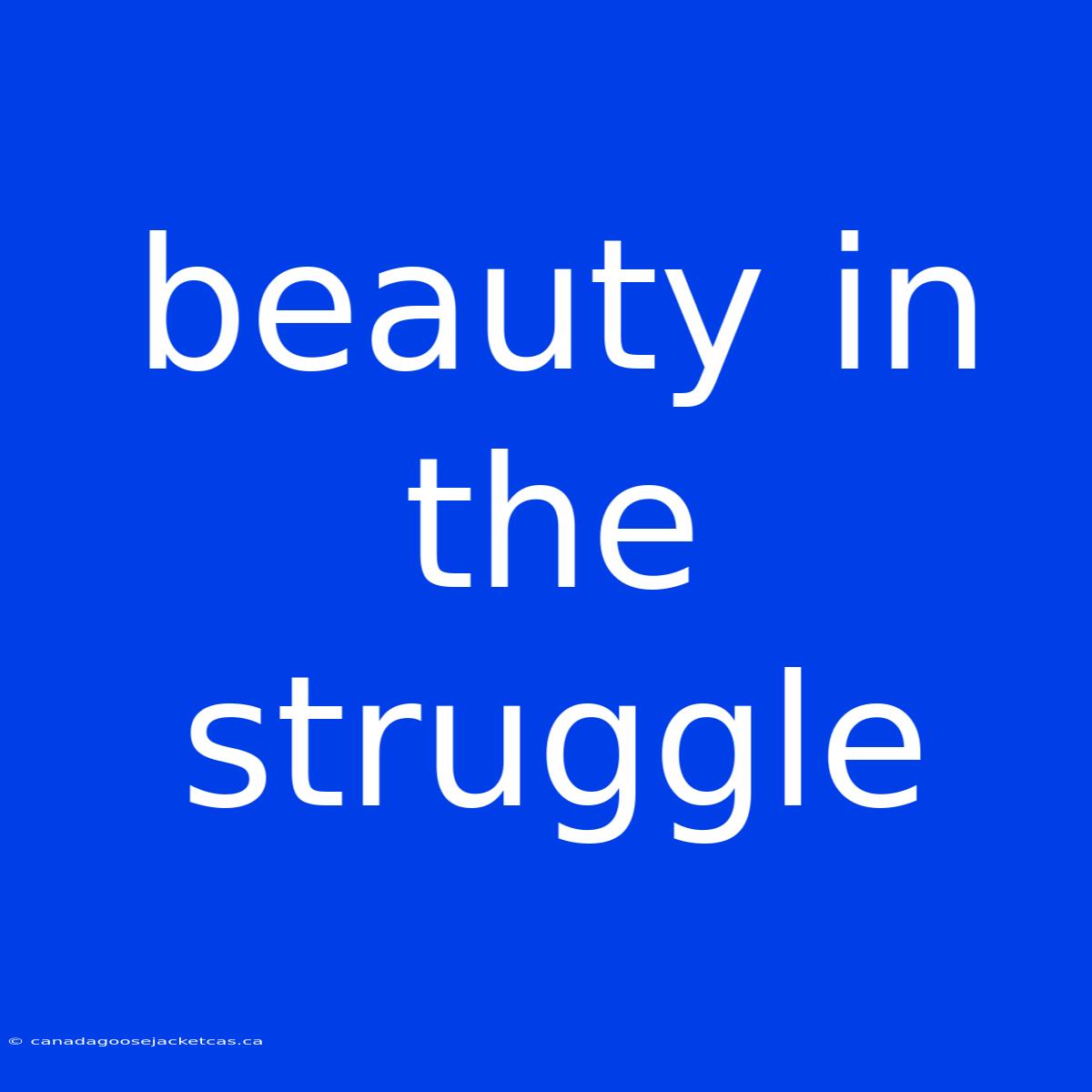 Beauty In The Struggle