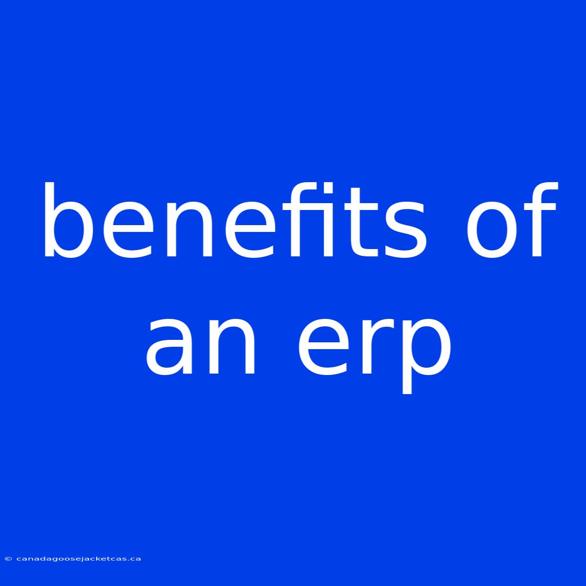 Benefits Of An Erp