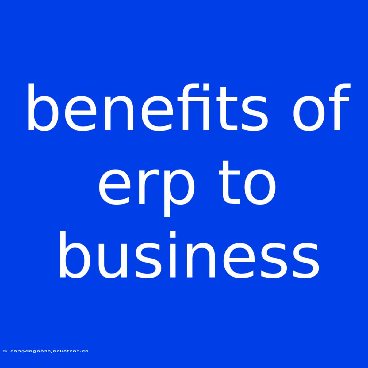 Benefits Of Erp To Business