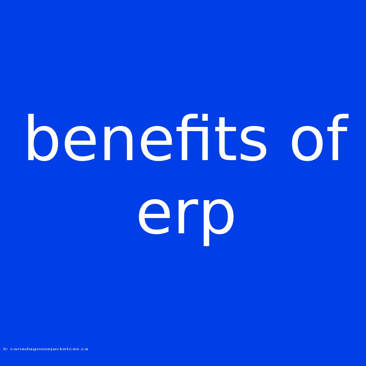 Benefits Of Erp