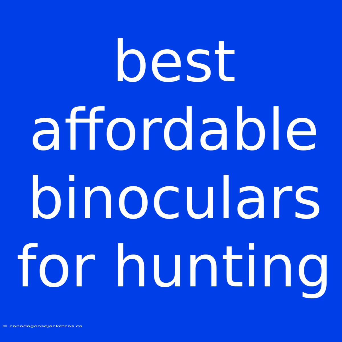 Best Affordable Binoculars For Hunting