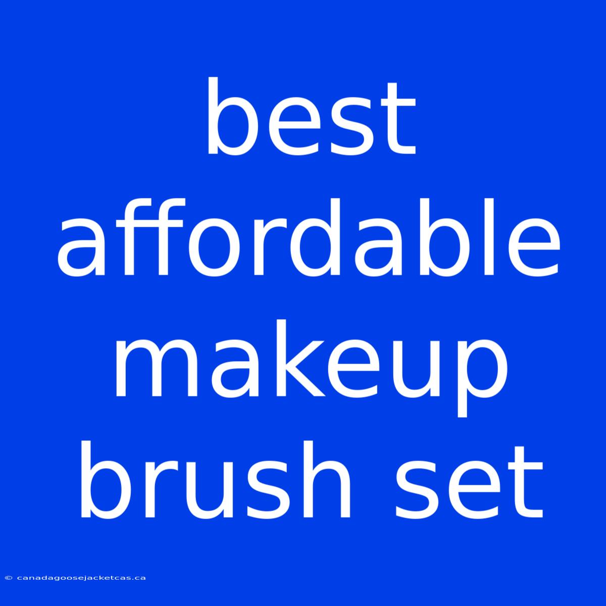 Best Affordable Makeup Brush Set