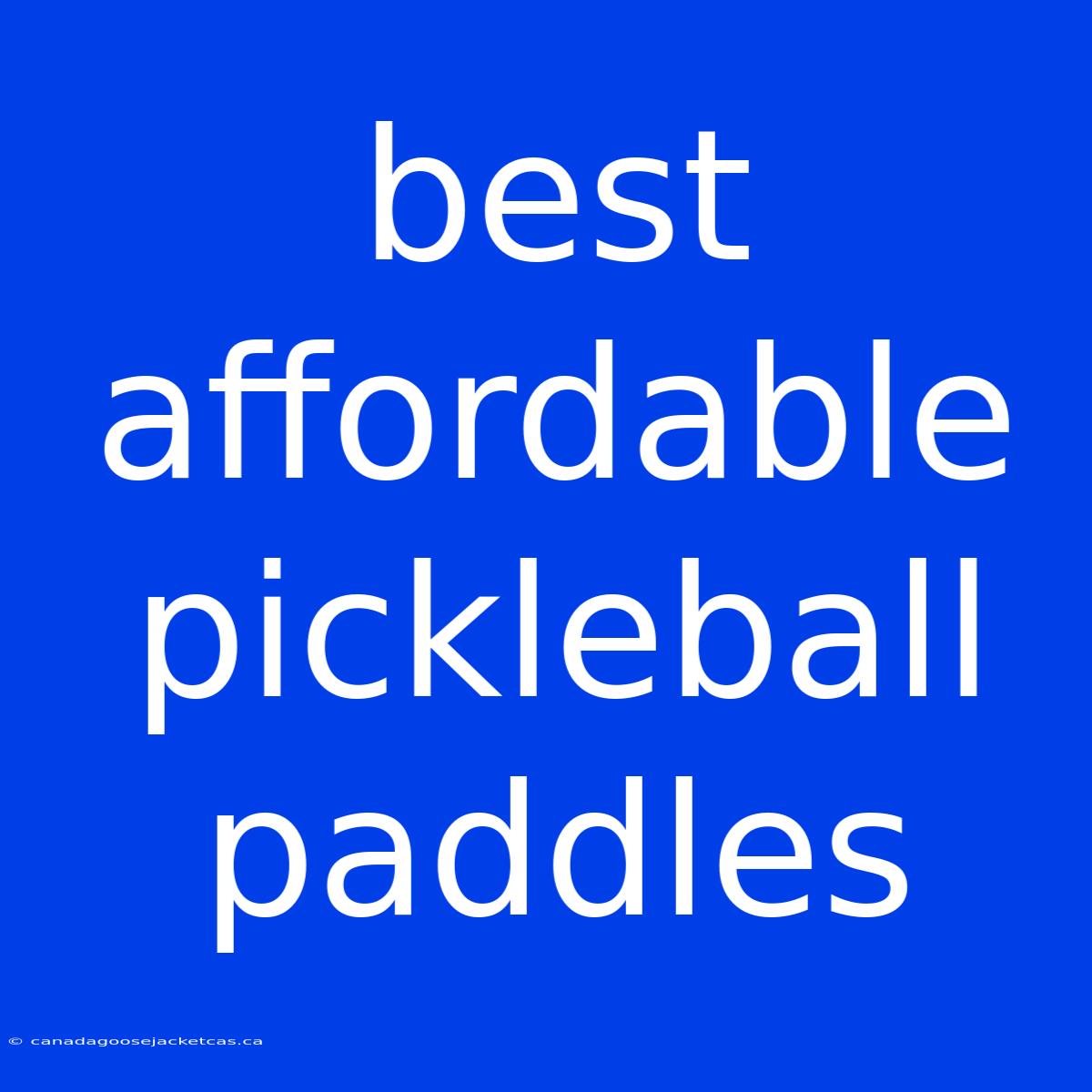 Best Affordable Pickleball Paddles