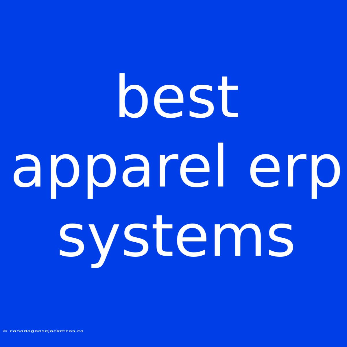 Best Apparel Erp Systems