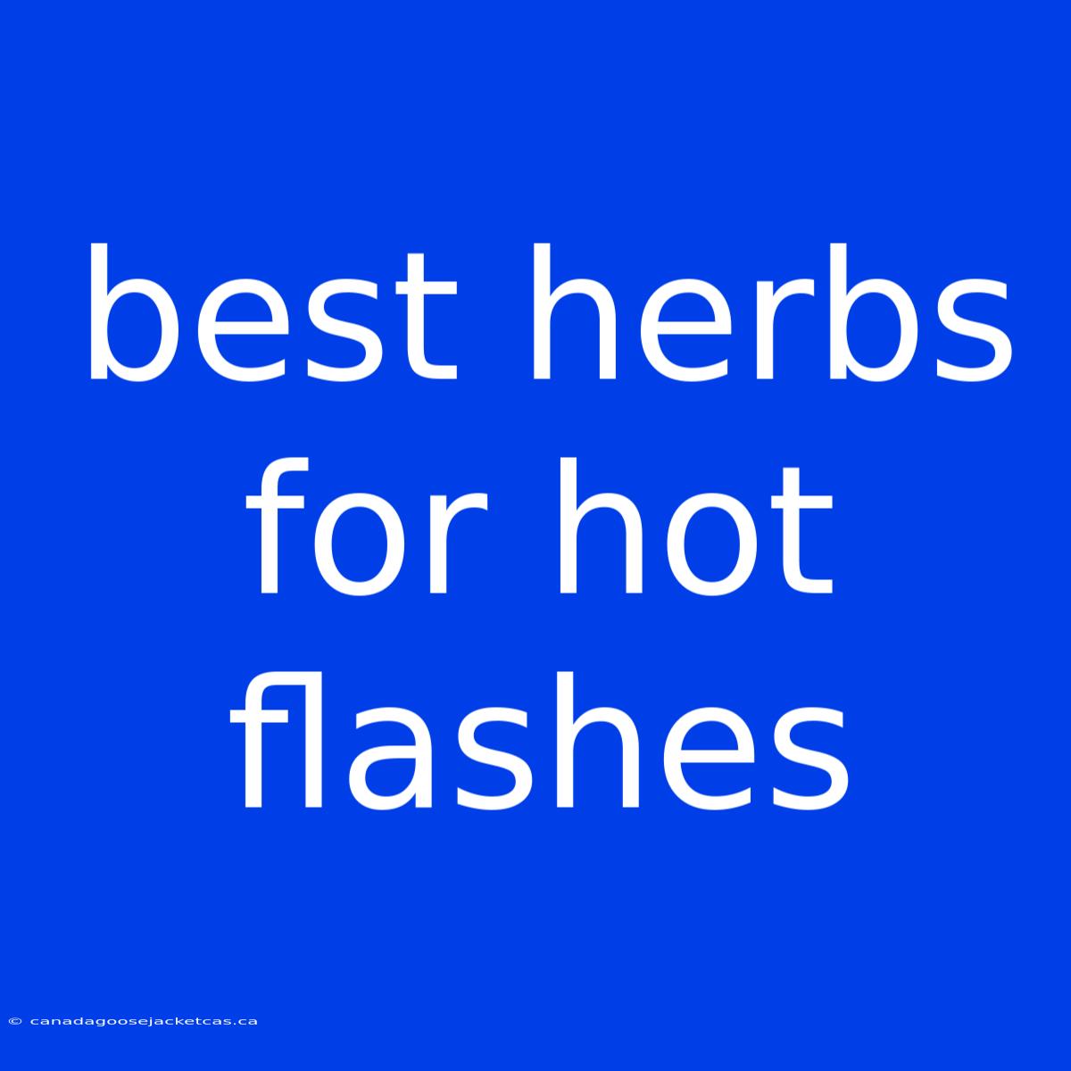 Best Herbs For Hot Flashes