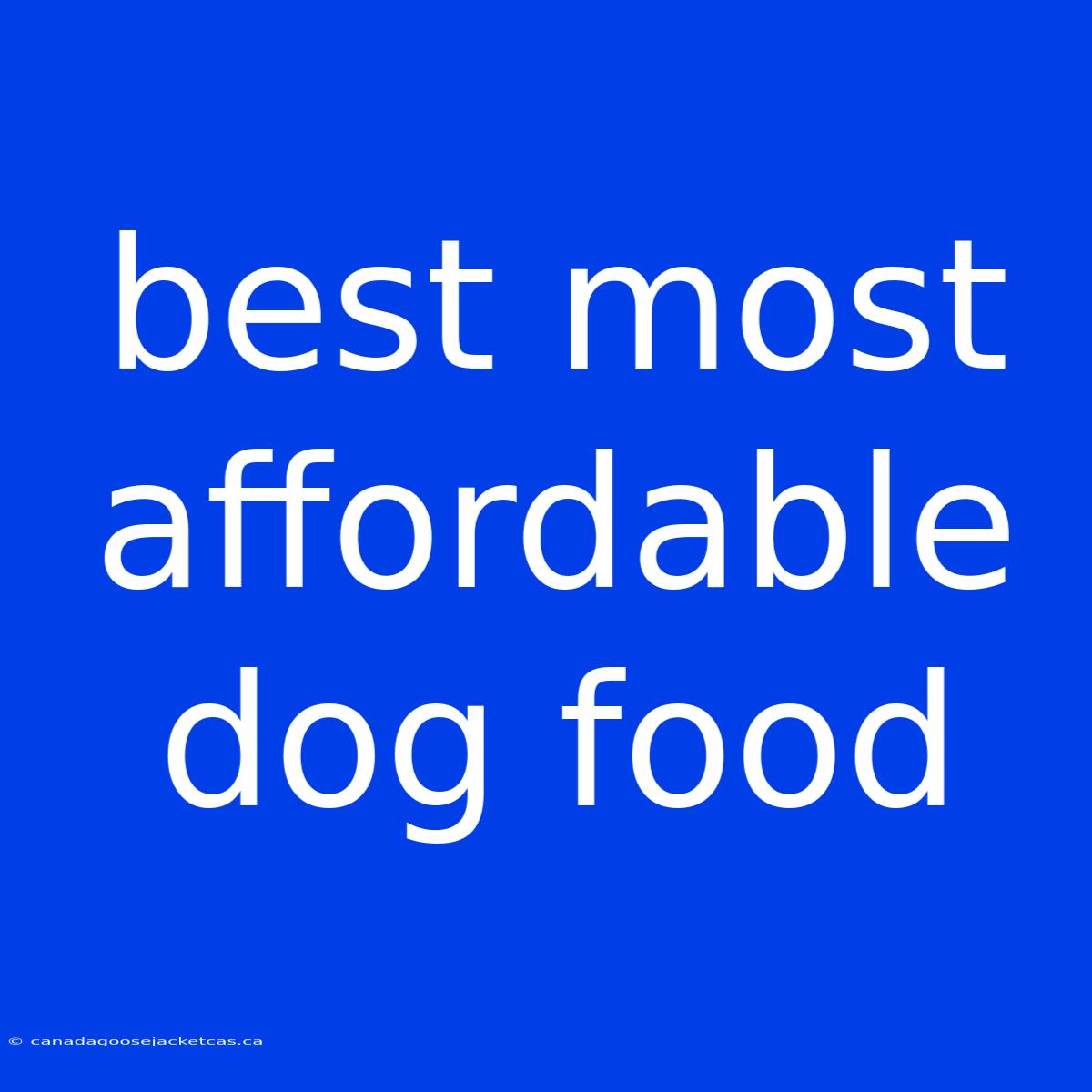 Best Most Affordable Dog Food