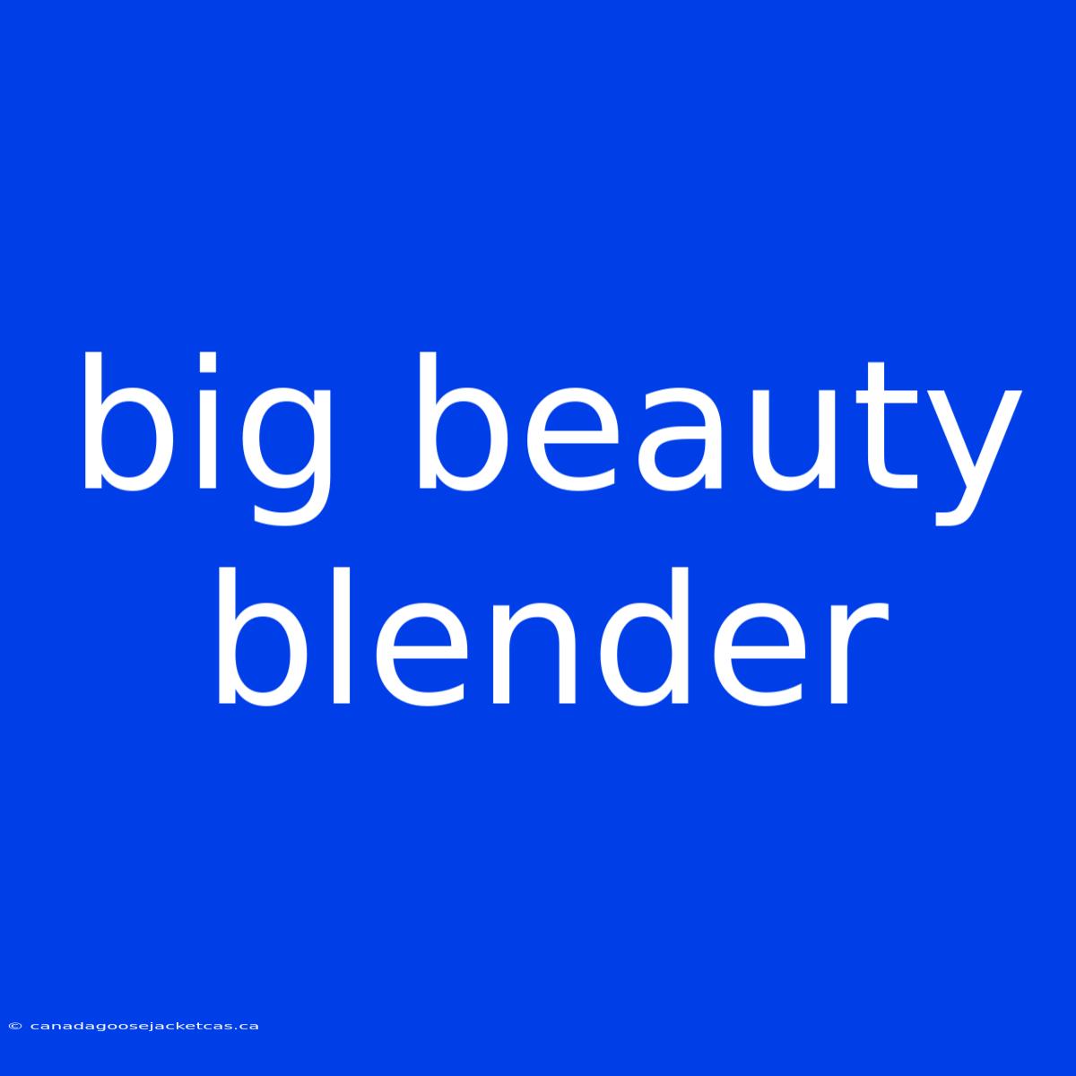 Big Beauty Blender