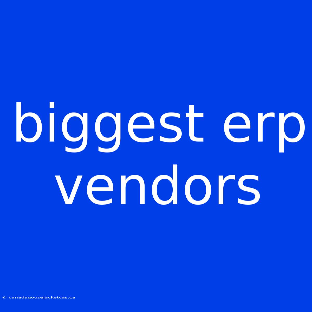 Biggest Erp Vendors