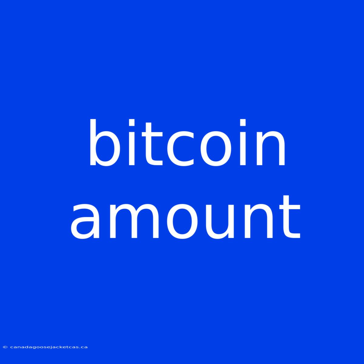 Bitcoin Amount