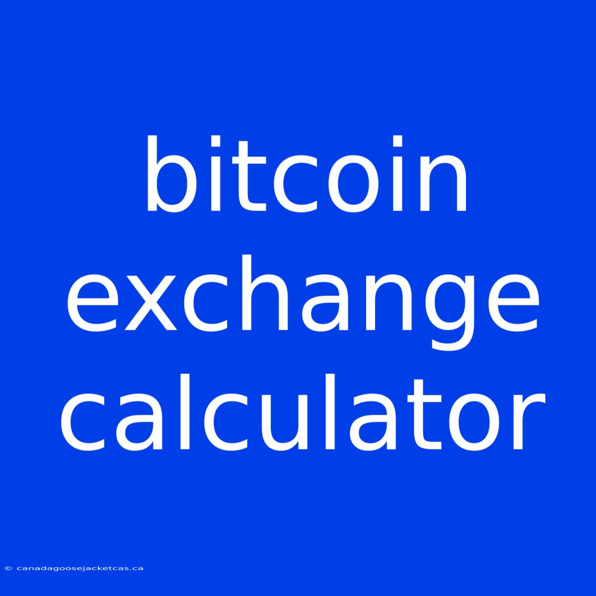 Bitcoin Exchange Calculator