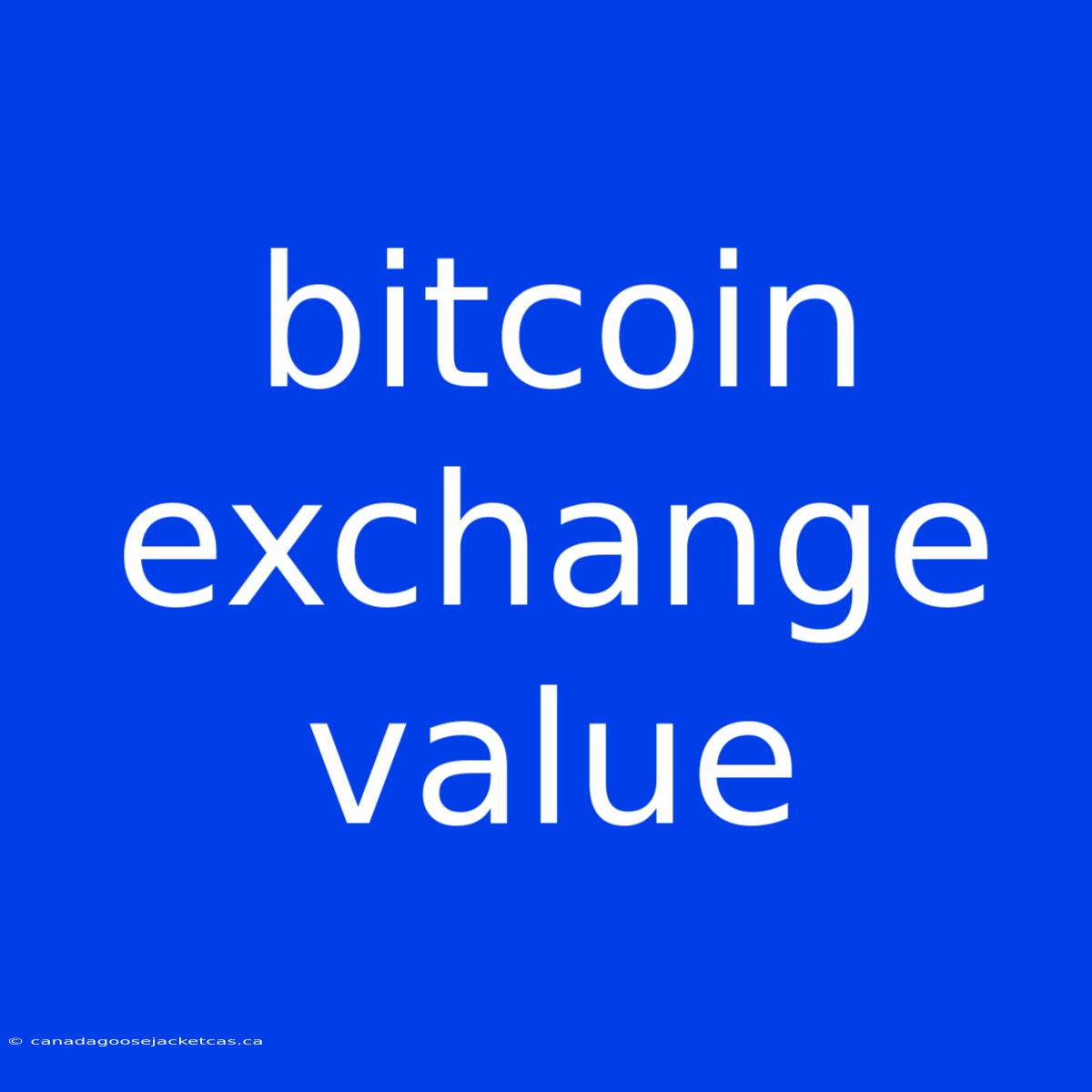 Bitcoin Exchange Value