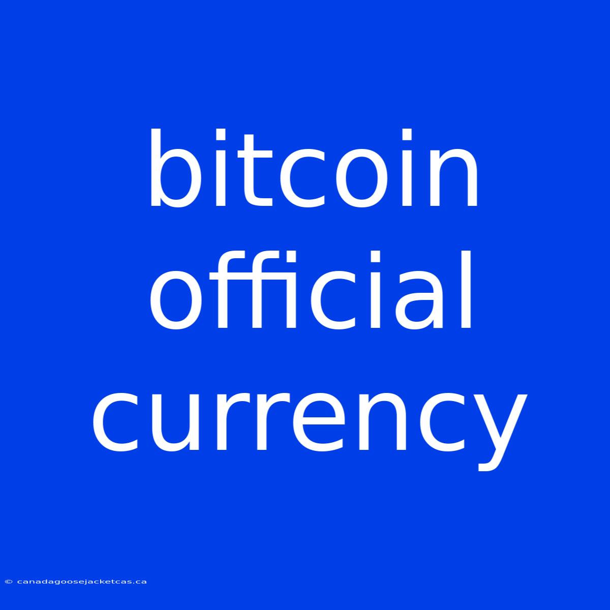 Bitcoin Official Currency